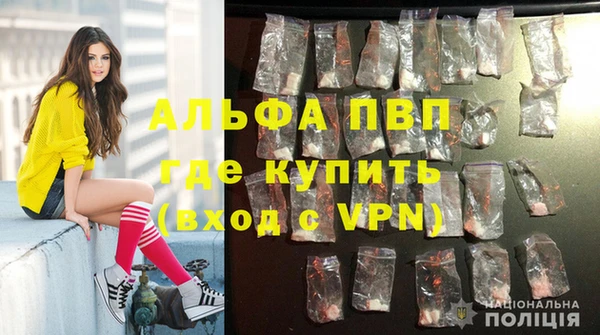 ALPHA-PVP Новозыбков
