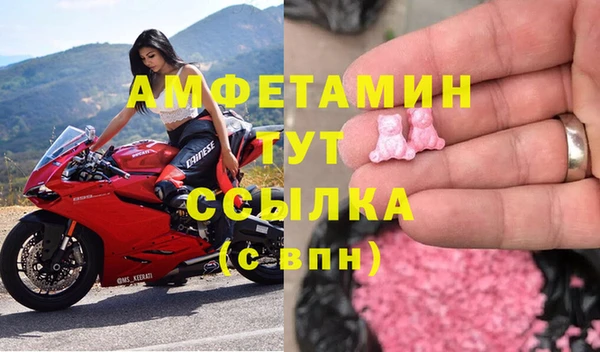 прущие грибы Щигры