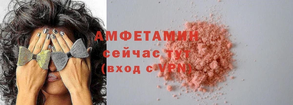 гидра Новодвинск