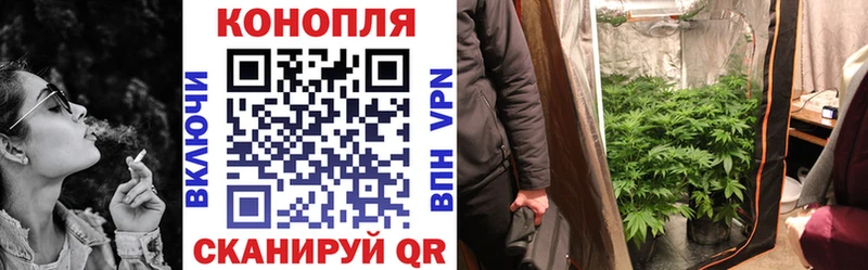 как найти закладки Приморско-Ахтарск Шишки марихуана VHQ